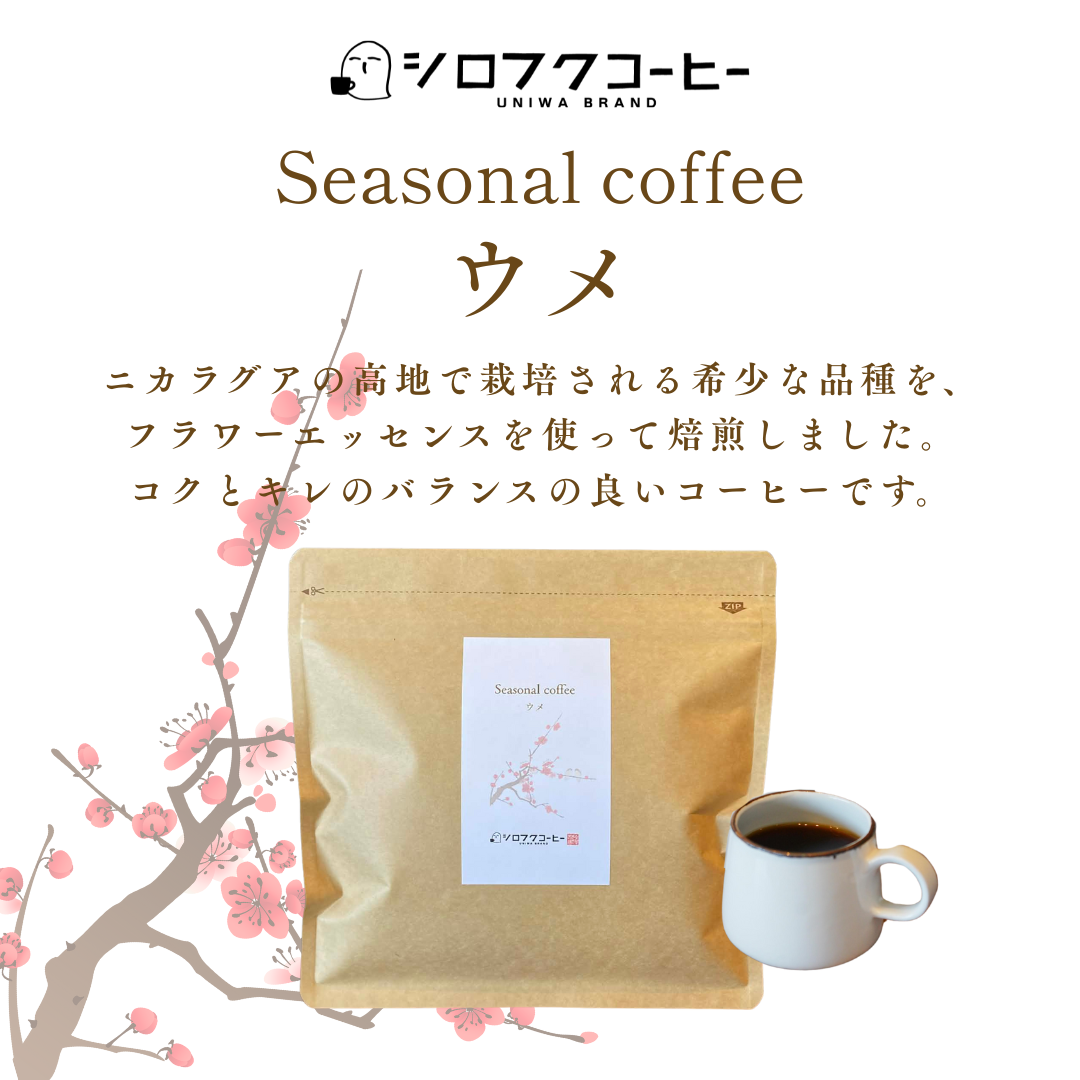 【コーヒー豆】seasonal coffee [ウメ]