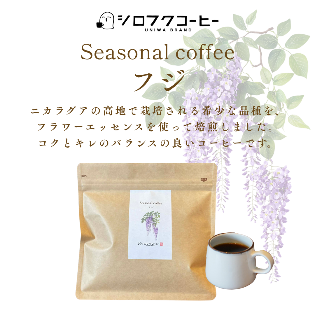 【コーヒー豆】seasonal coffee [フジ]
