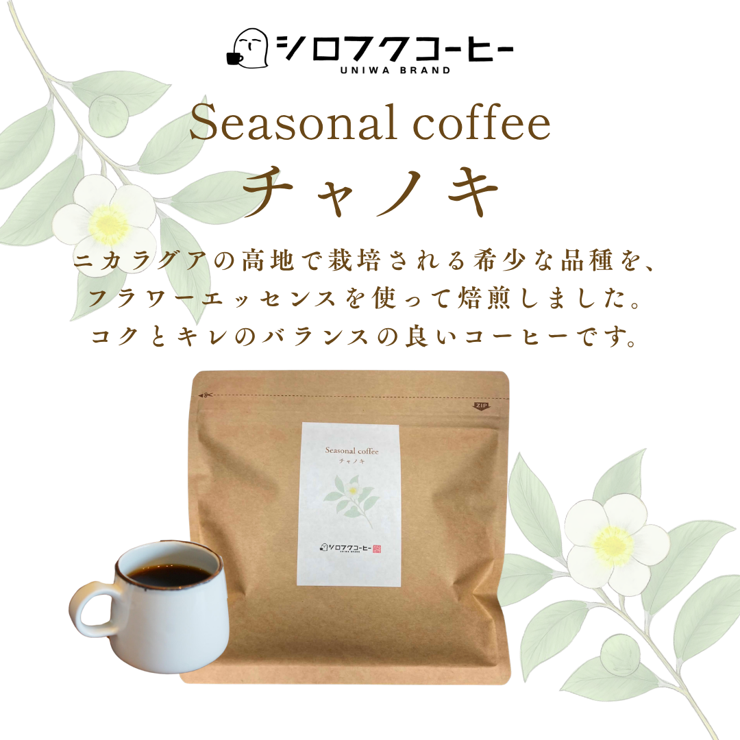 【コーヒー豆】seasonal coffee [チャノキ]